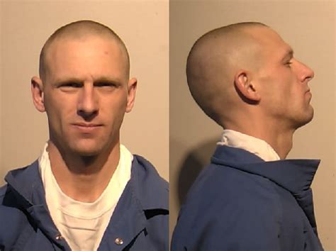 Niagara County Mugshots | Ellsworth, Kaitlyn Marie VIOL FAMILY COURT ...