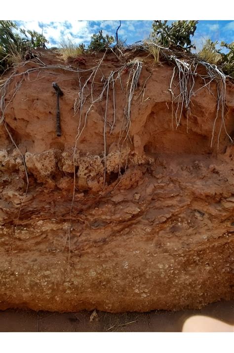 Oldest Mounds In The World Oldest Known Ship Burial Discovered In