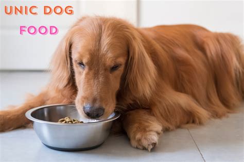 Unic Dog Food