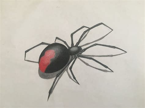 Black Widow Spider Drawing Beautiful Image - Drawing Skill
