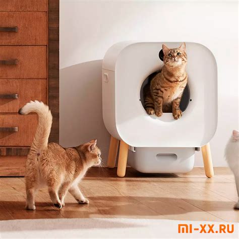 Xiaomi XMLB01MG | Домик-лоток для кошек с OLED-дисплеем