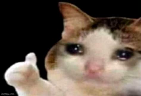 Sad cat thumbs up - Imgflip
