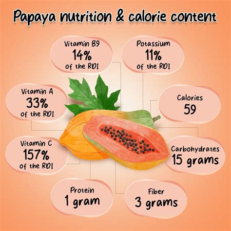 Papaya Shake Benefits for Weight Loss | Silky Mahajan