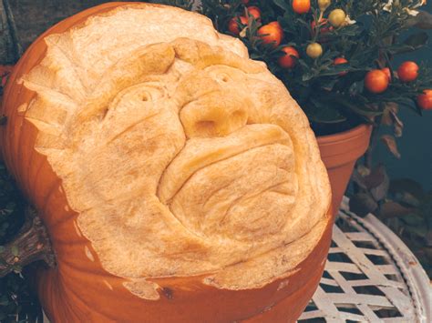 Carved Pumpkin Free Stock Photo - Public Domain Pictures