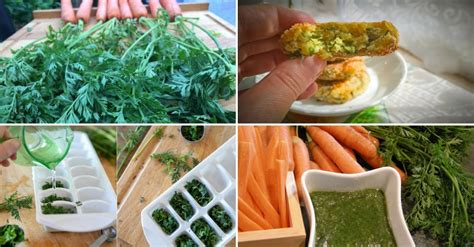 Что делать с ботвой моркови: 5 интересных вариантов - Со Вкусом