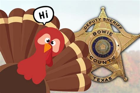60 Arrested Last Week - Bowie County Sheriff's Report for 11/6