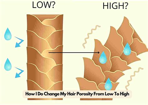 What Is Porosity Hair