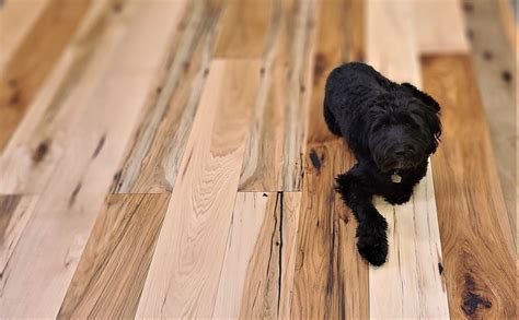 Best Hardwood Floors for Dog Owners | Wood Flooring