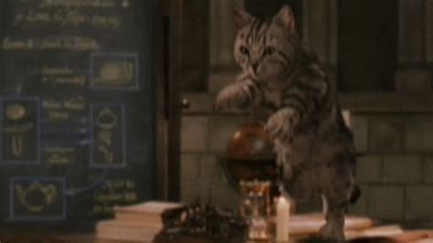 Harry Potter and the Philosopher's Stone (2001) - Cinema Cats