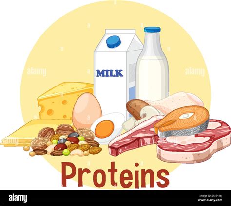 Variety of protein foods illustration Stock Vector Image & Art - Alamy
