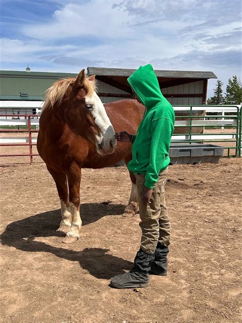 Denver Children's Home