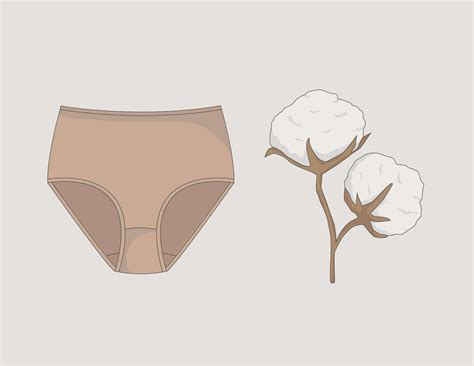 The Best Underwear for Yeast Infections: Expert Picks – Q for Quinn™