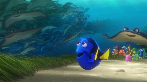 Finding Dory & Mr. Ray Underwater Adventure – 4K Ultra HD Wallpaper