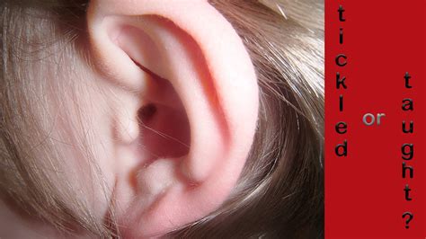 ear tickling Archives - The Ancient Bridge