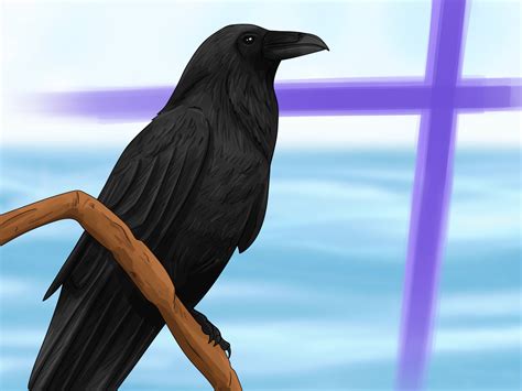 Raven Spiritual Meaning: 14 Symbolic Interpretations