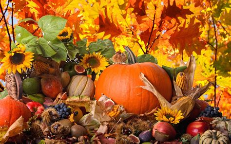 Thanksgiving Desktop Wallpapers - Top Free Thanksgiving Desktop ...