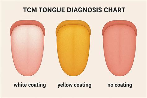 White, Yellow, or No Coating? What Tongue Coating Reveals About Your Body in TCM - MyZenCheck