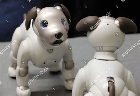 Launch Sony robot dog Aibo ERS1000 Editorial Stock Photo - Stock Image | Shutterstock