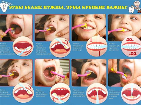 The best printables on steps to brushing teeth for kids – Artofit