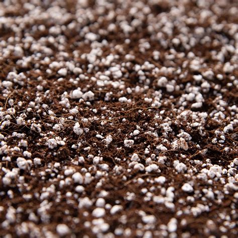 Just Houseplant Potting Soil – London Terrariums