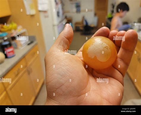 Egg In Vinegar