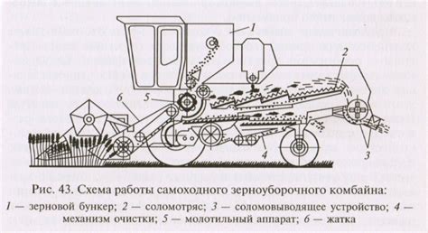 Уборка зерновых культур, уборка зерна