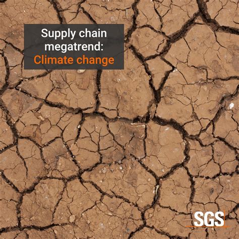 SGSRBS: How climate change affects supply chain | SGS Responsible Business Services posted on ...