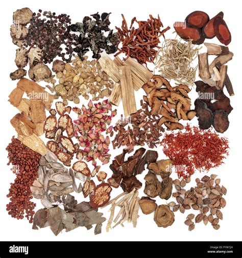 Chinese Herbal Medicine Austin at Ellis Brashears blog