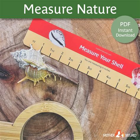 Measure Nature Rulers INCHES Outdoor Play Printables Nature Math Nature Play Printables ...