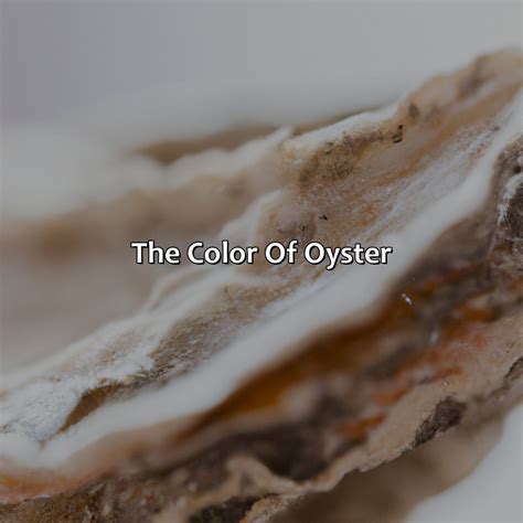 What Color Is Oyster - colorscombo.com