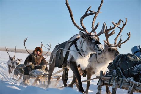 Селькупы - происхождение народа, где и как живут, фото
