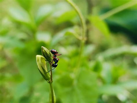 Best+Micro+Bikini+Gifs Photos, Download The BEST Free Best+Micro+Bikini ...