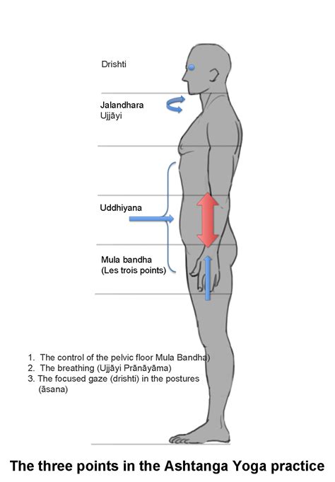 The three points in the Ashtanga Yoga practice | Ashtanga Yoga ...