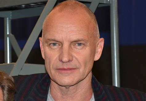 Sting Ballet Message in a Bottle to Launch North American Tour in 2024 - TheaterMania.com