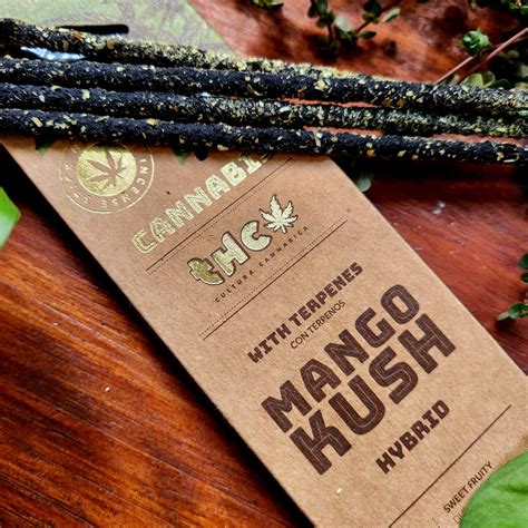 Incenso Mango Kush Cannabis Sagrada Madre Conveniente Casa Mística