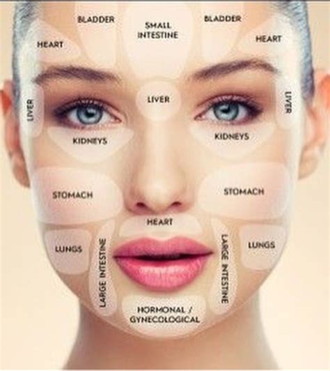 What does your breakout mean | Face mapping, Skin health, Skin care