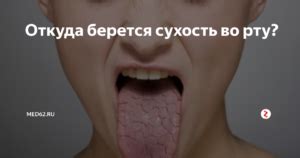 Сильно сохнет во рту ночью? Ксеростомия: причины и лечение - ЛорТут
