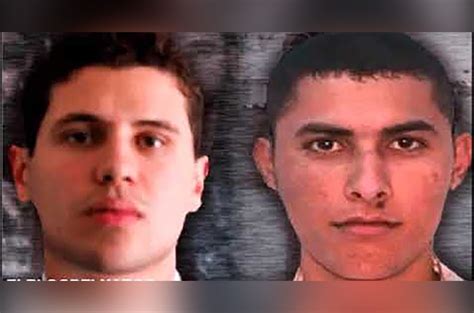 Rodrigo Arechiga Gamboa