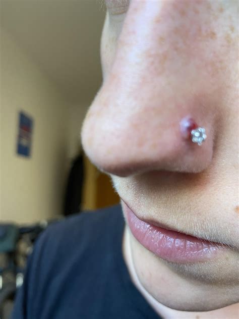 Nose Inside Yes I Pierced My Nose 5 Times Over Few Years. Lets See