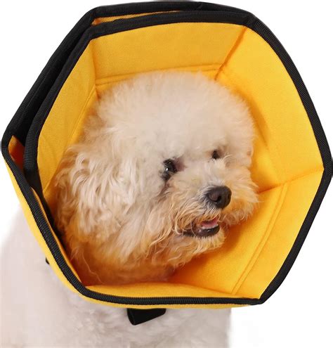 Pet Cone Alternatives at Kristina Hertz blog