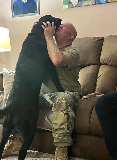 Dog Reunited With Owner Returning From Deployment