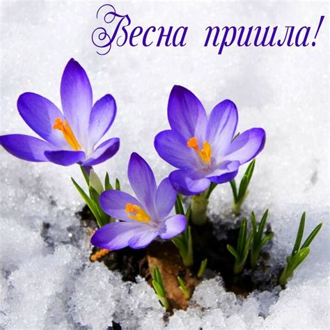 Весна пришла! - Открытки с весной Поздравушка.ру
