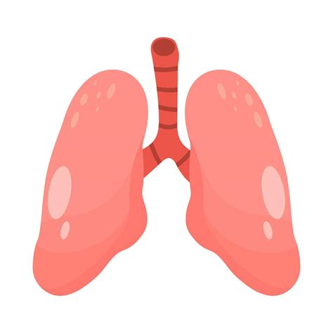 human Lungs vector clip art icon. COPD vector illustration, chronic ...