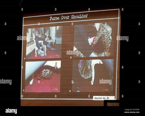 Murder Of Lana Clarkson High Resolution Stock Photography and Images - Alamy