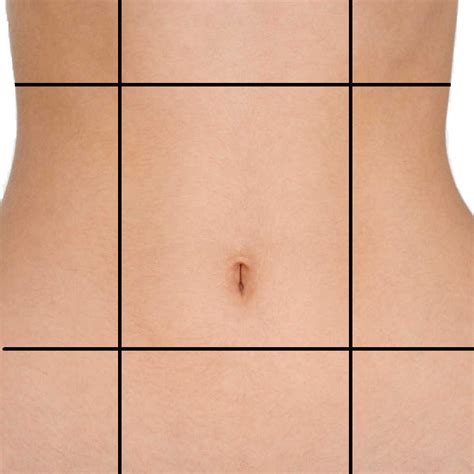 Abdomen In Spanish Language at Gilbert Strothers blog