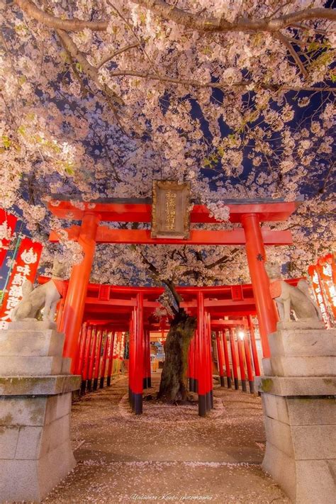 Religion in japan what is the main religion in japan – Artofit