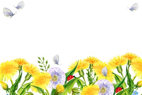 watercolor horizontal frame with summer field flowers, hand draw illustration of yellow ...