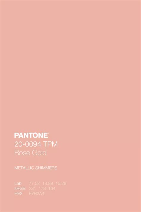 Rose · Color · Color Palette · Kidspattern