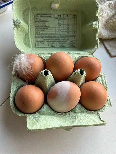 Opened up a pack of eggs to see it like this : r/mildlyinteresting