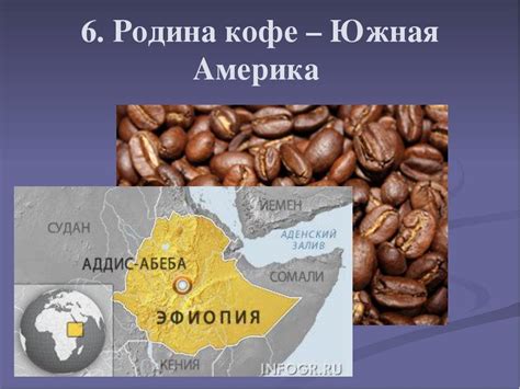 Родина кофе, в какой стране его впервые начали пить